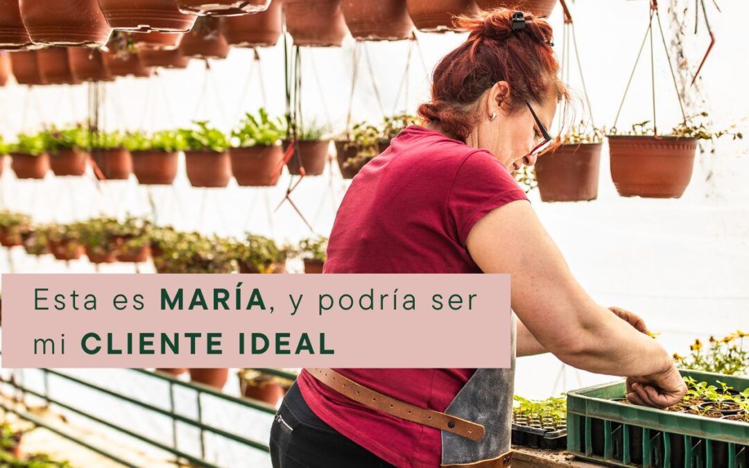 DEFINIR TU CLIENTE IDEAL ES IMPORTANTE