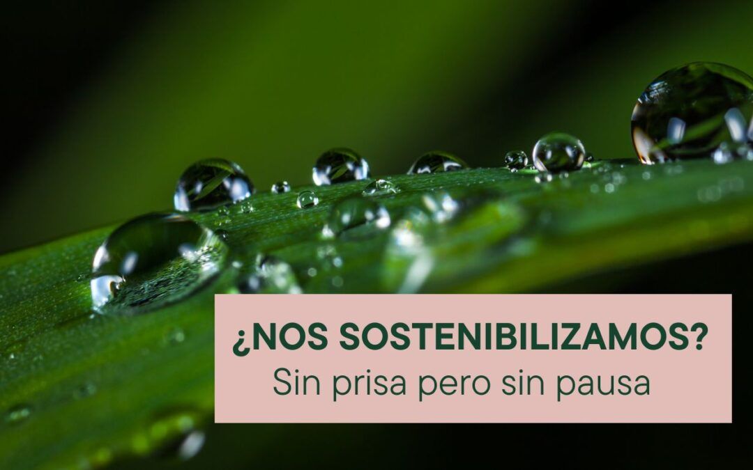 ¿NOS SOSTENIBILIZAMOS?