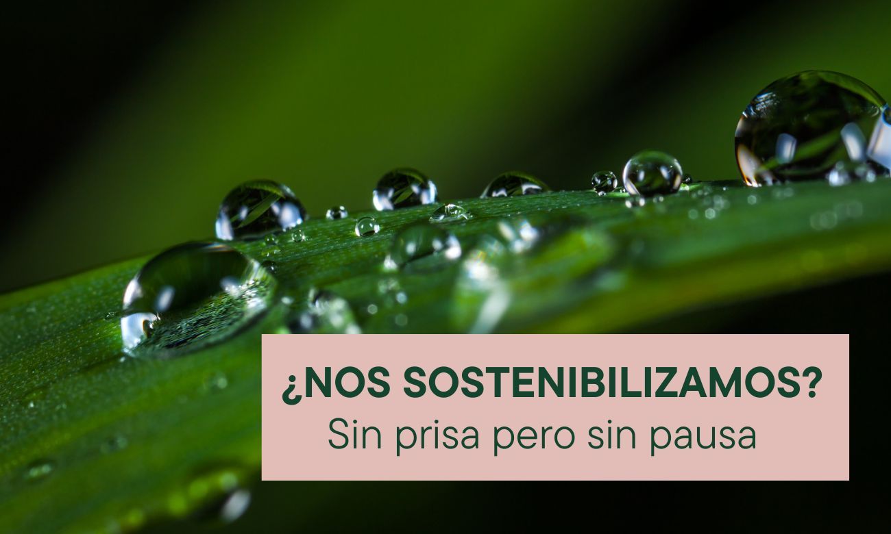 ¿Nos sostenibilizamos?